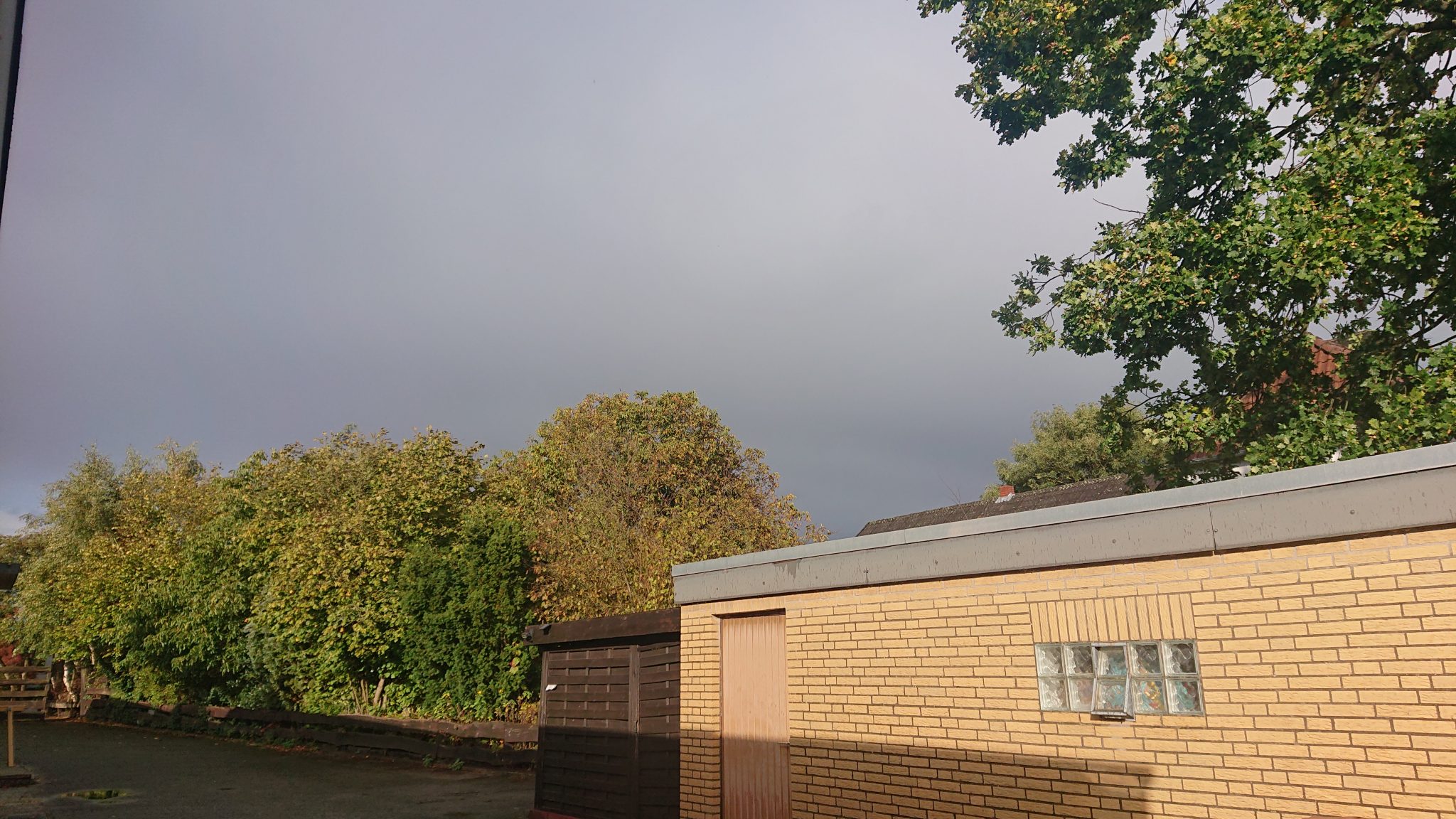 Allgemein | Federbettensammler.de